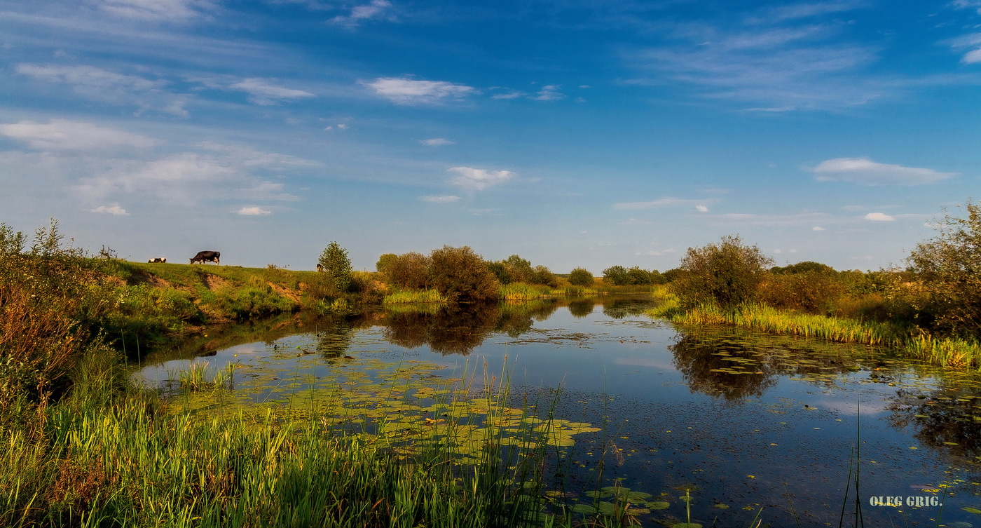 Осень у тихой реки.