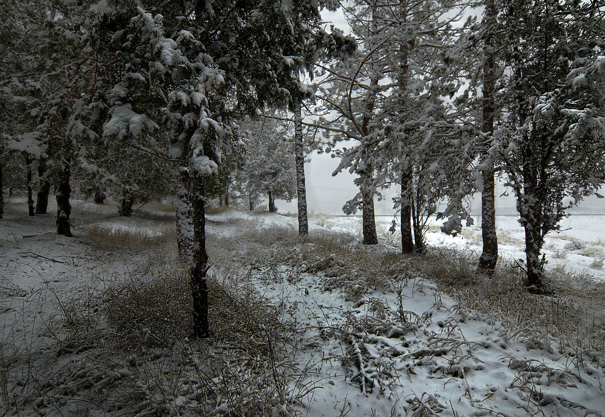 Первый снежок на полях.