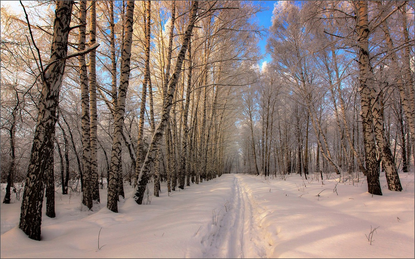 Лыжня зовет...