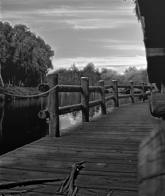 Тихое утро...