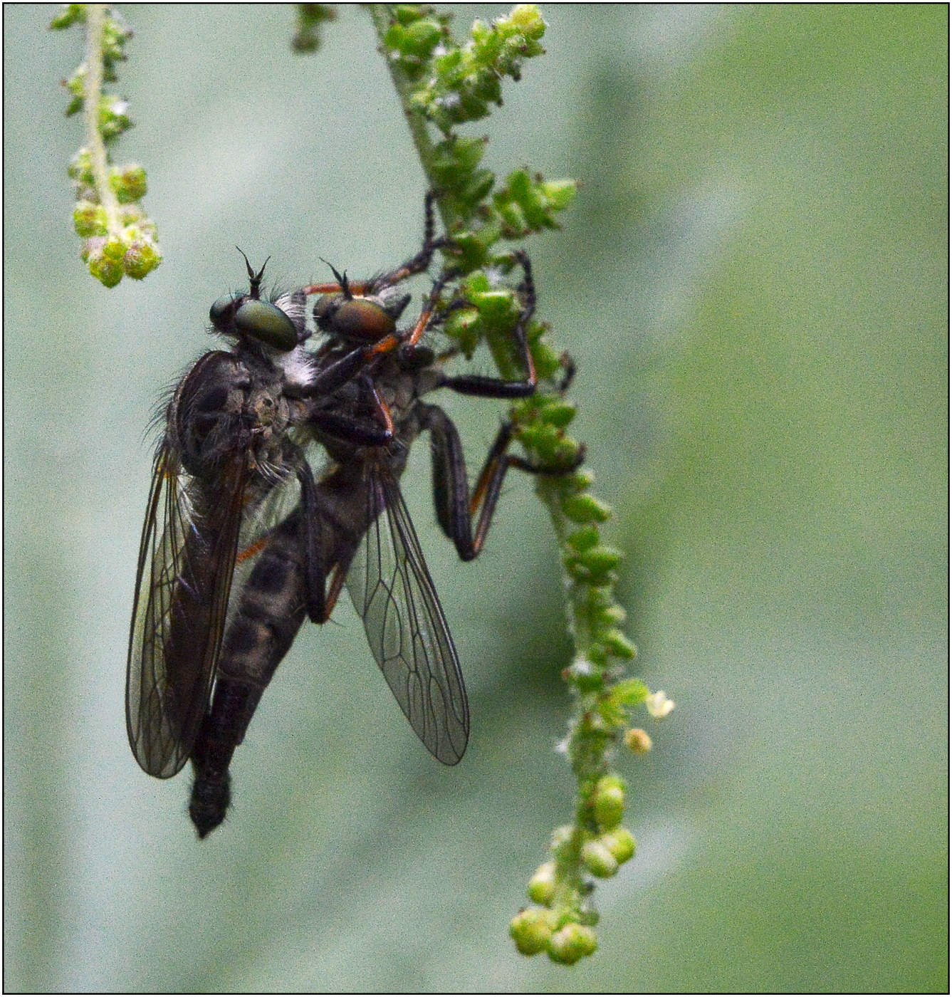 Таинство любви.