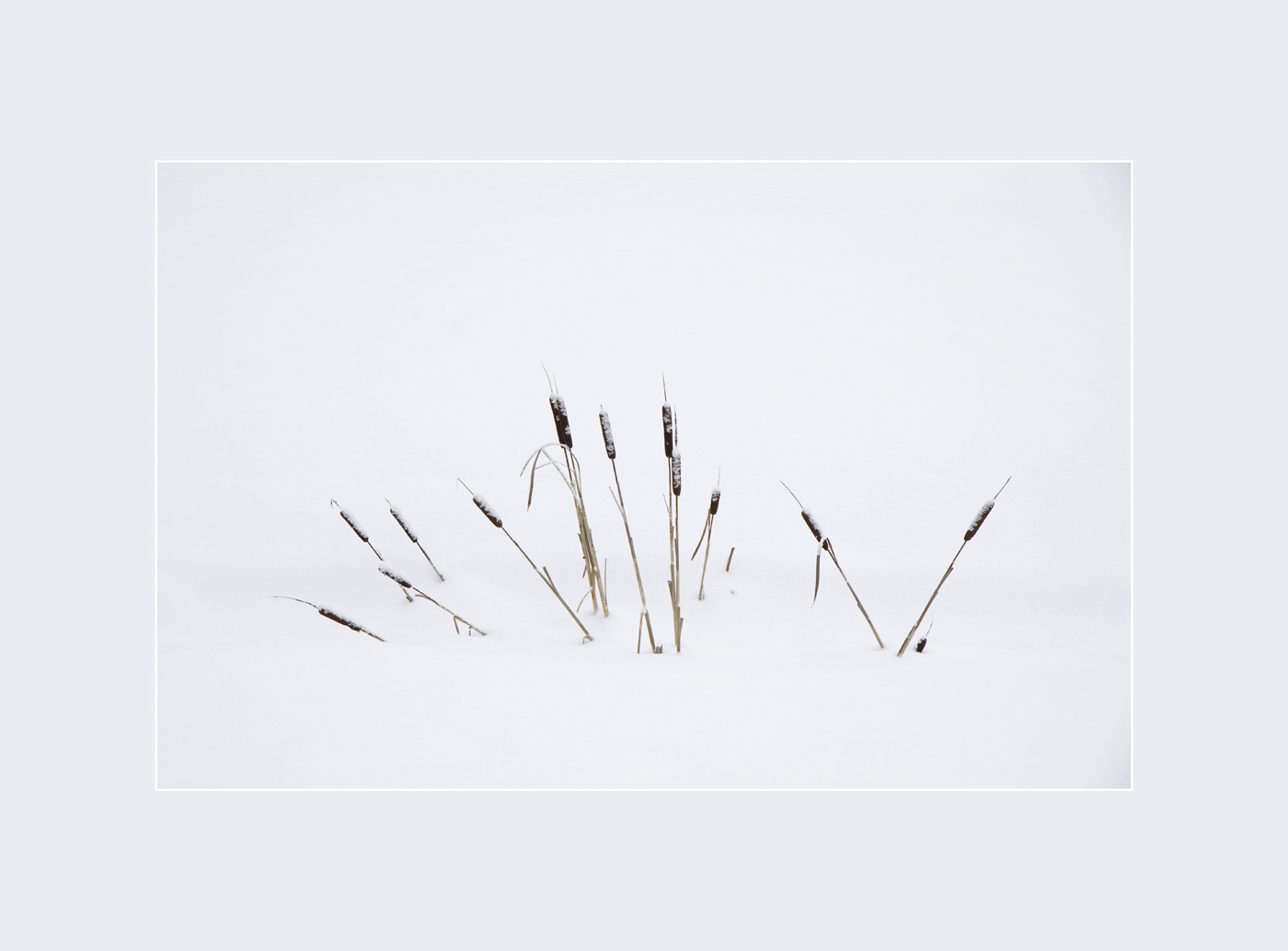 Воспоминание о прошедшем лете