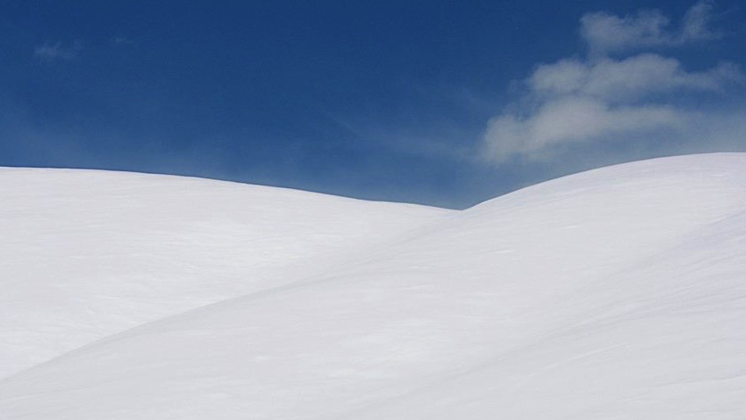 Цвет и Линия