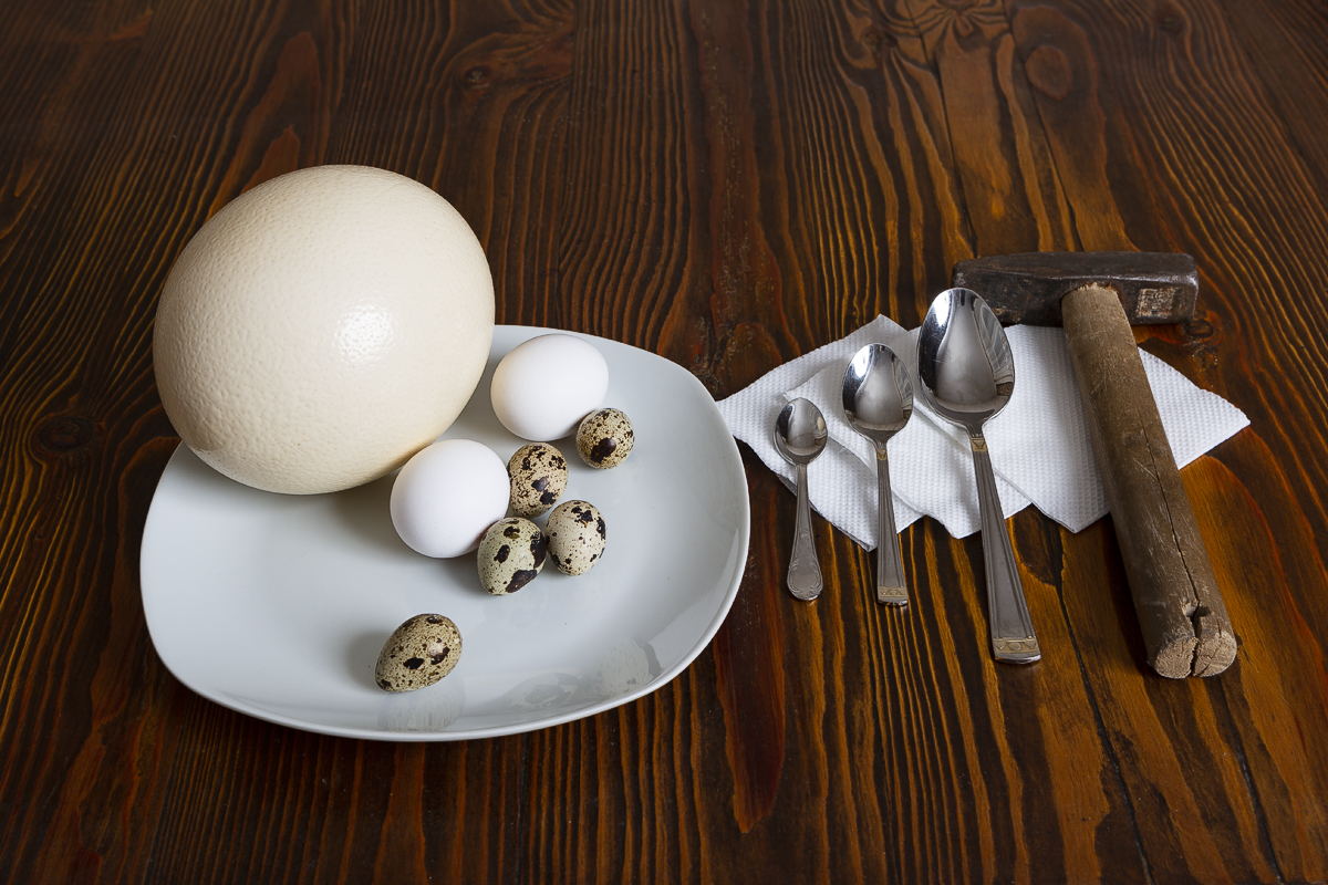 На яичной диете