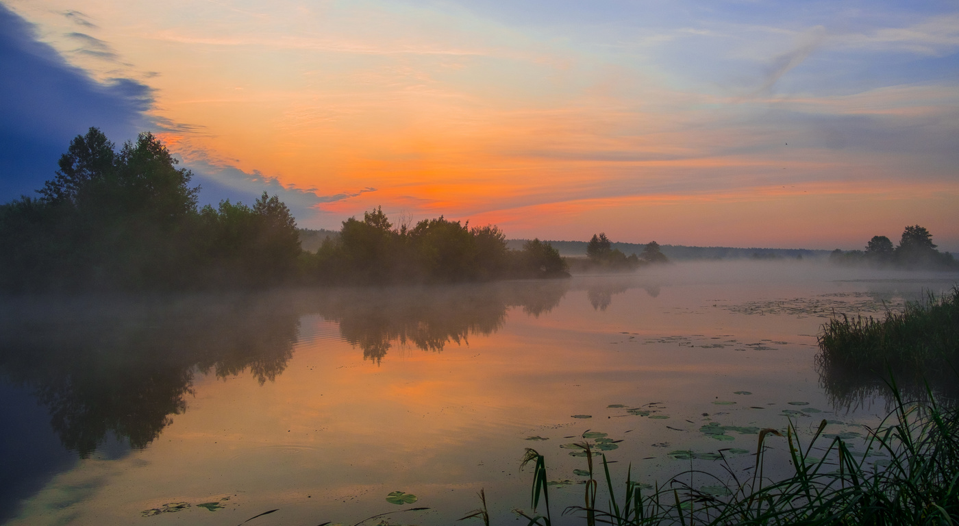 Туча с севера.