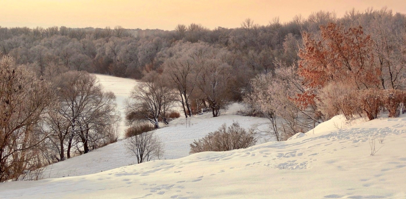 Вид на зимний Орлик