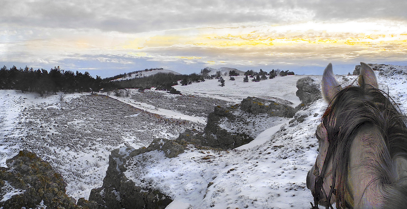 Высоко стою, далеко гляжу.
