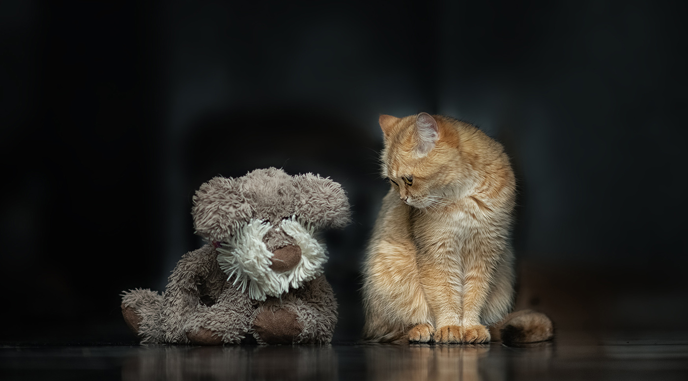 В ссоре, виноваты оба...)