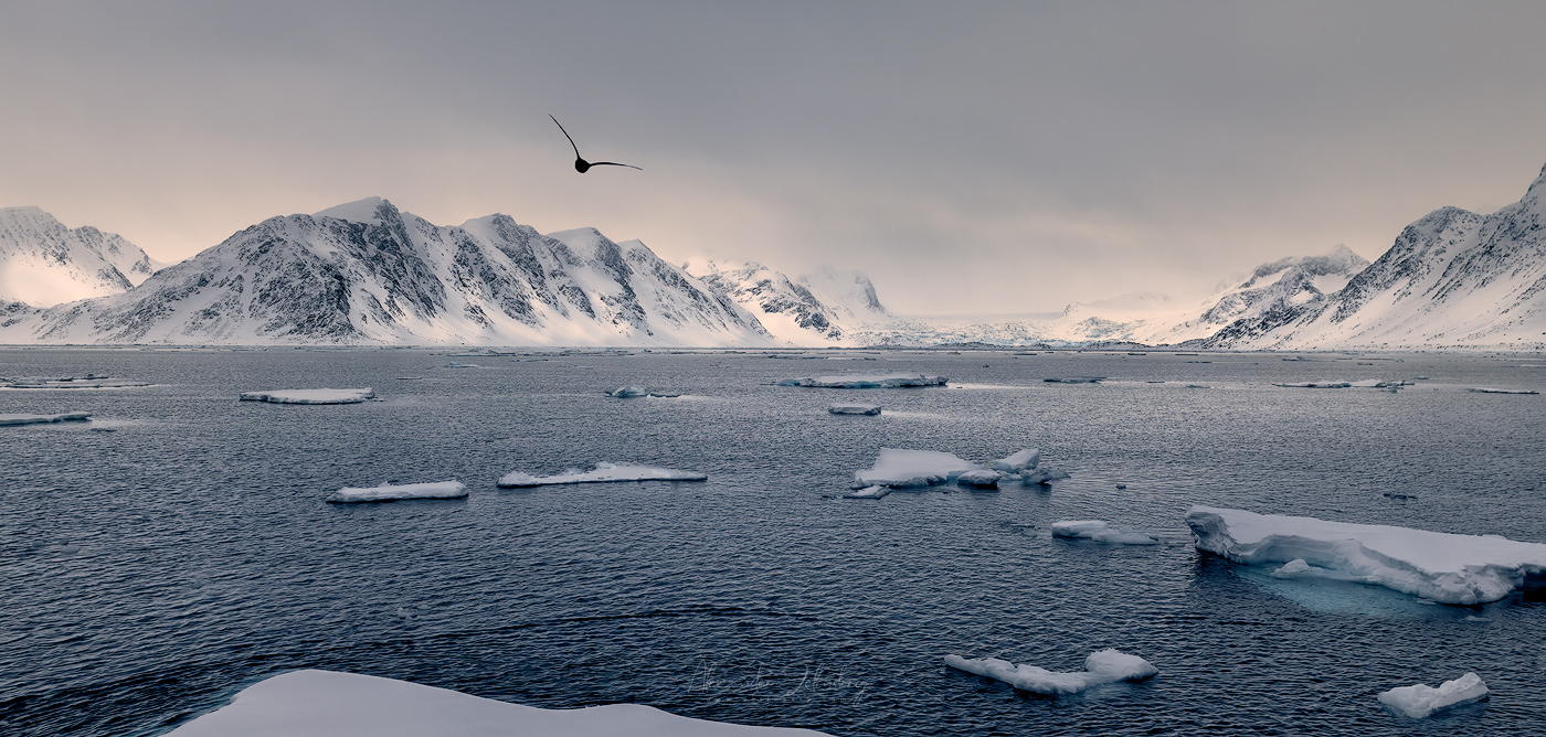 В краю льдов