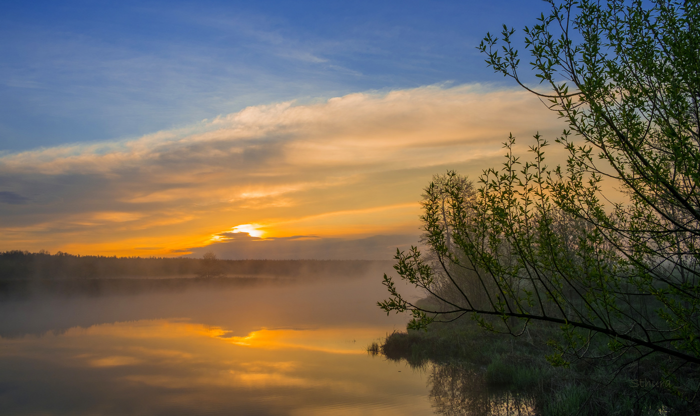 Весенняя тишина.