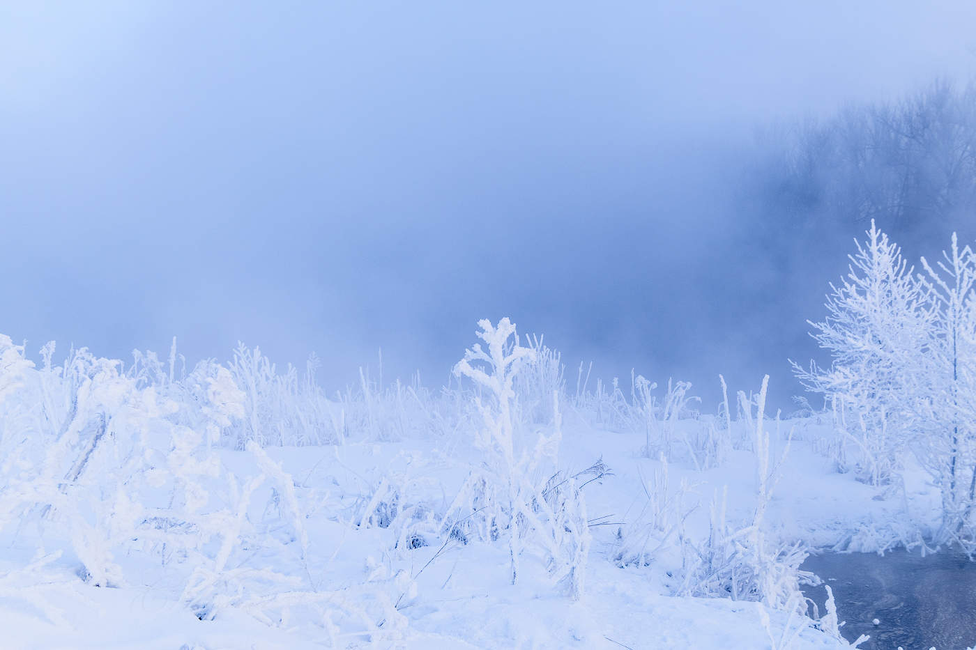 Проказы матушки-зимы