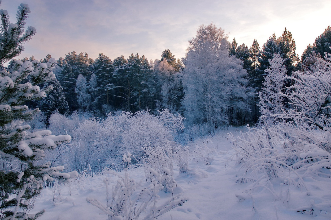 Морозный день.