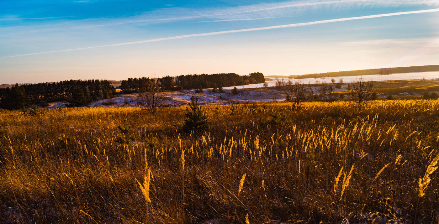 Зацепилось солнце за верхушки трав.
