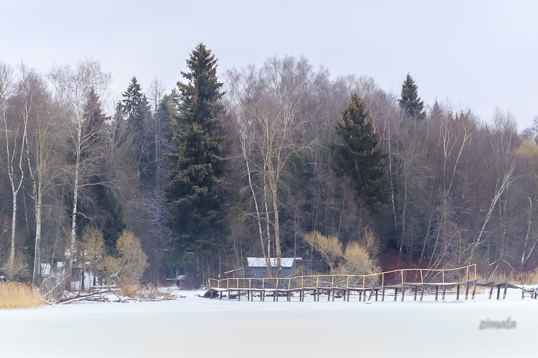 зимняя бесцветность