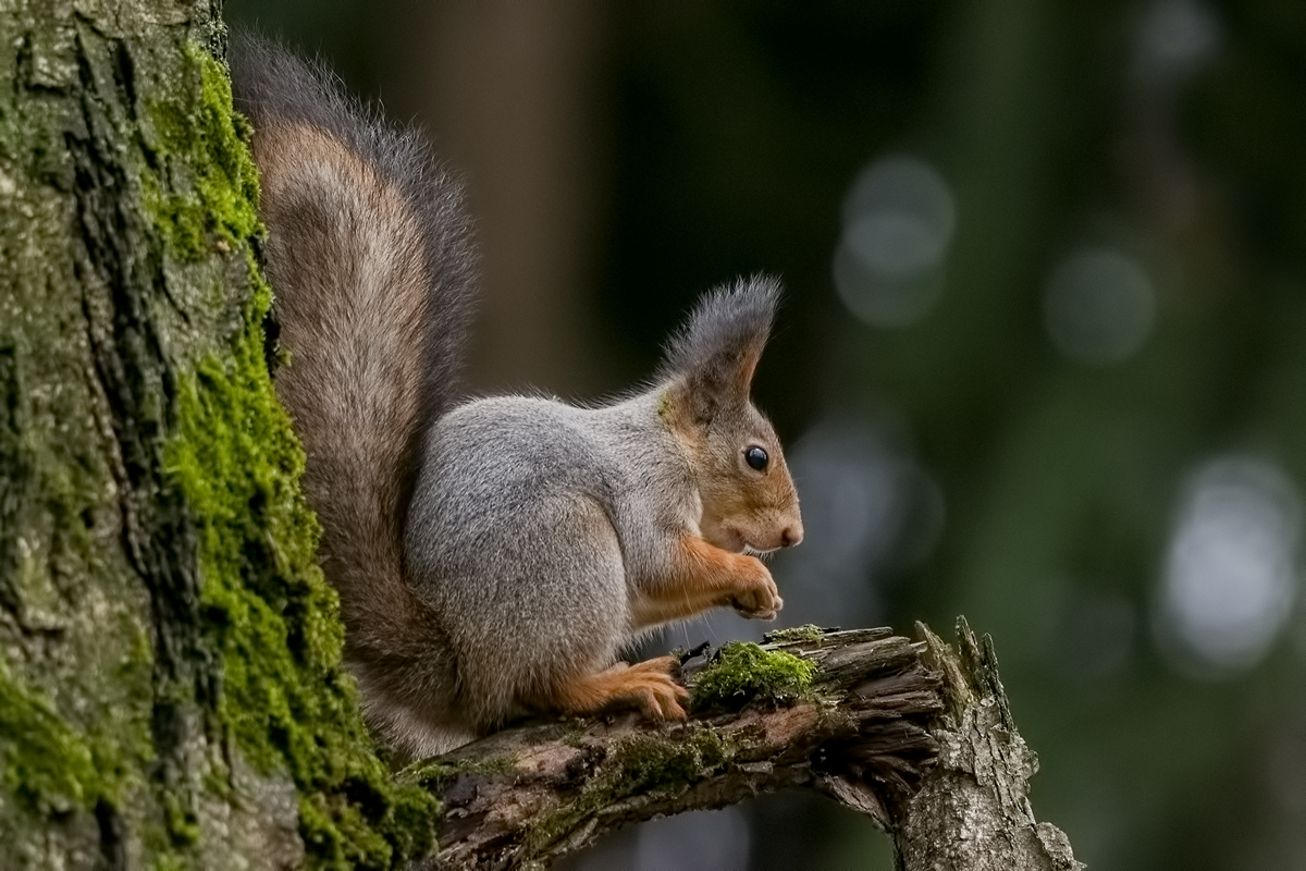 Ой! Это я сломала?