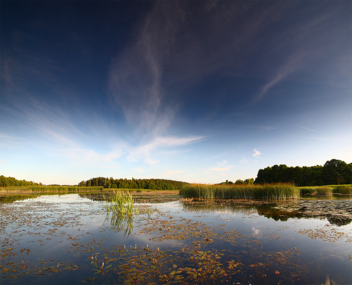 тишь да гладь