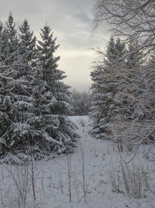 найди это солнце..