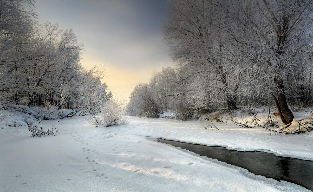 В замерзших руслах тихих рек..