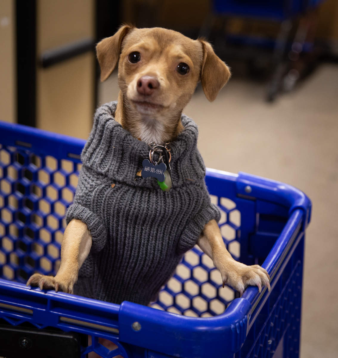 - Регламент, господа!