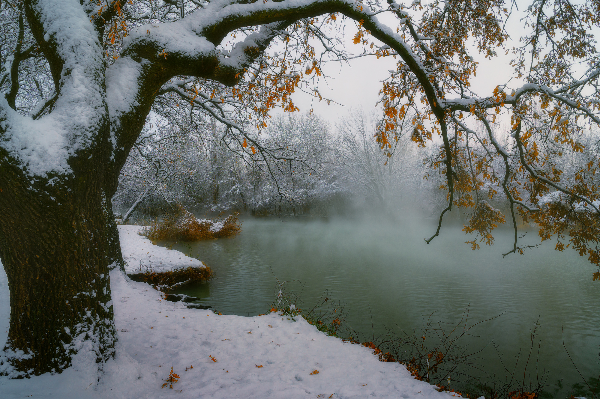 Всего одно зимнее утро
