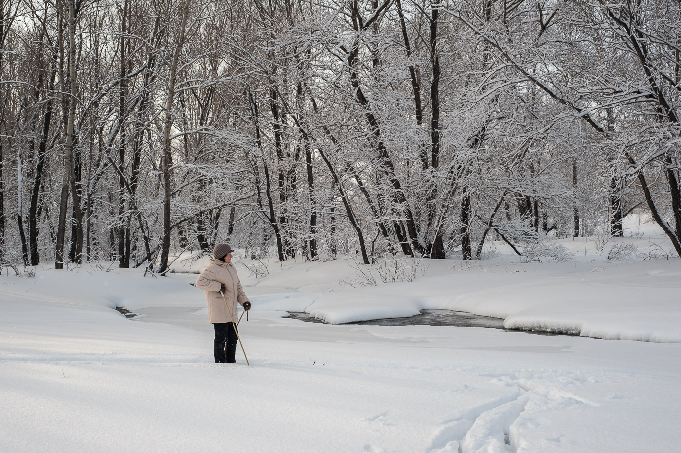 Красота зимнего леса