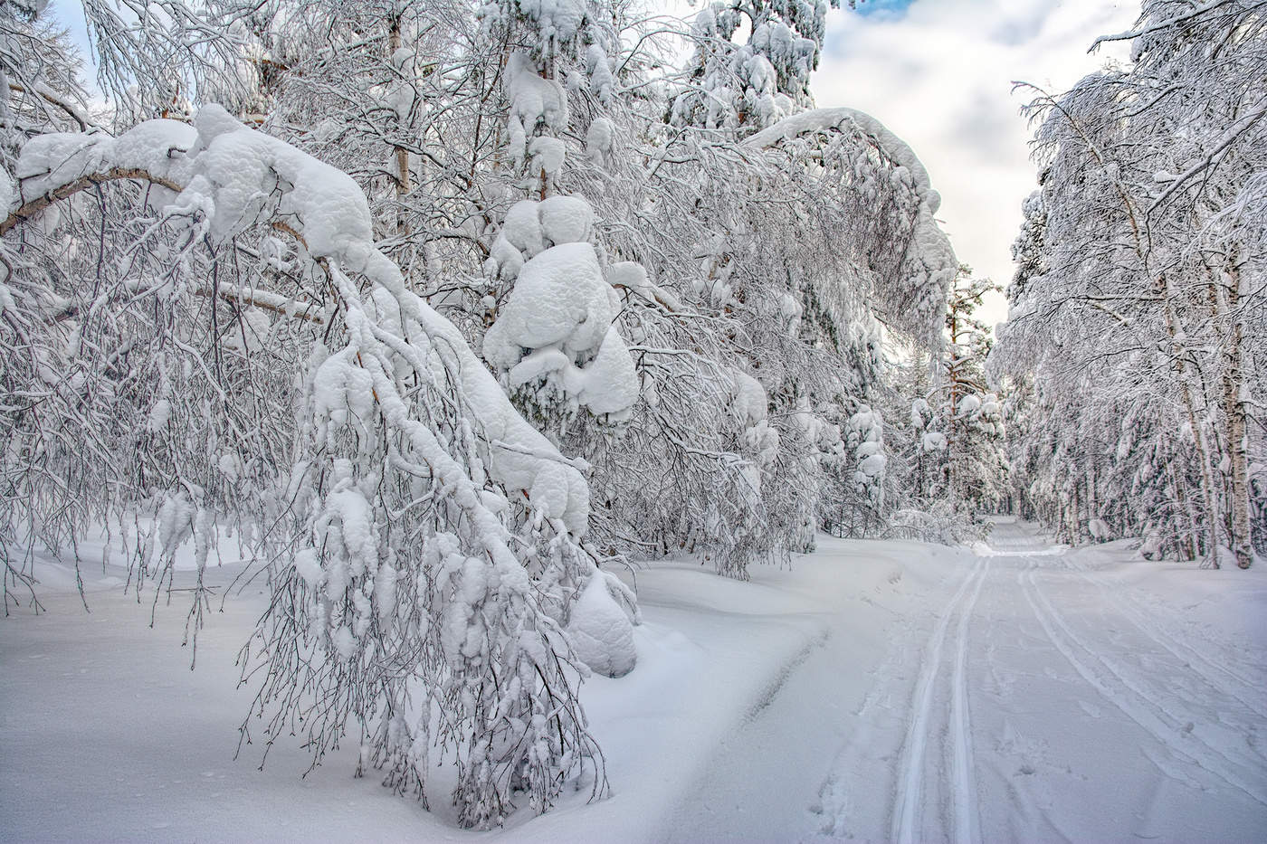 Белое безмолвие