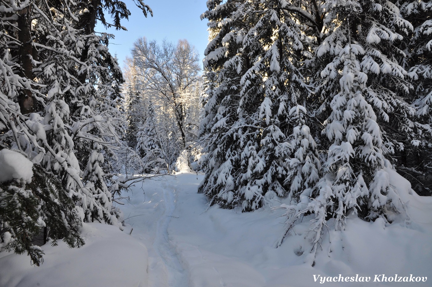 Морозный день