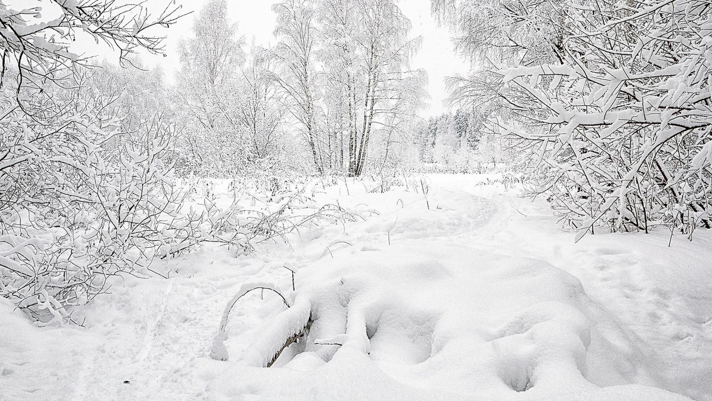В ожидании Нового Года