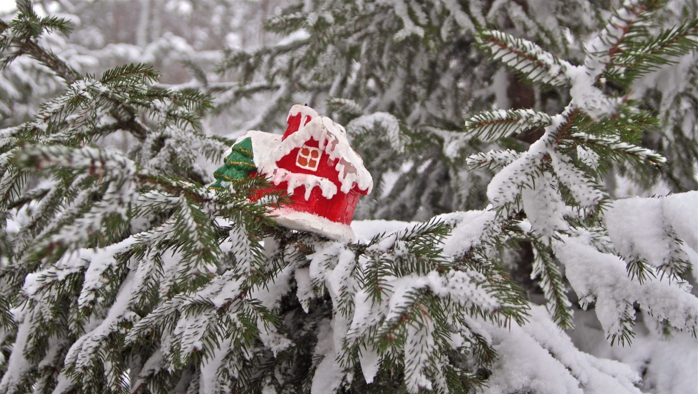 Пряничный домик