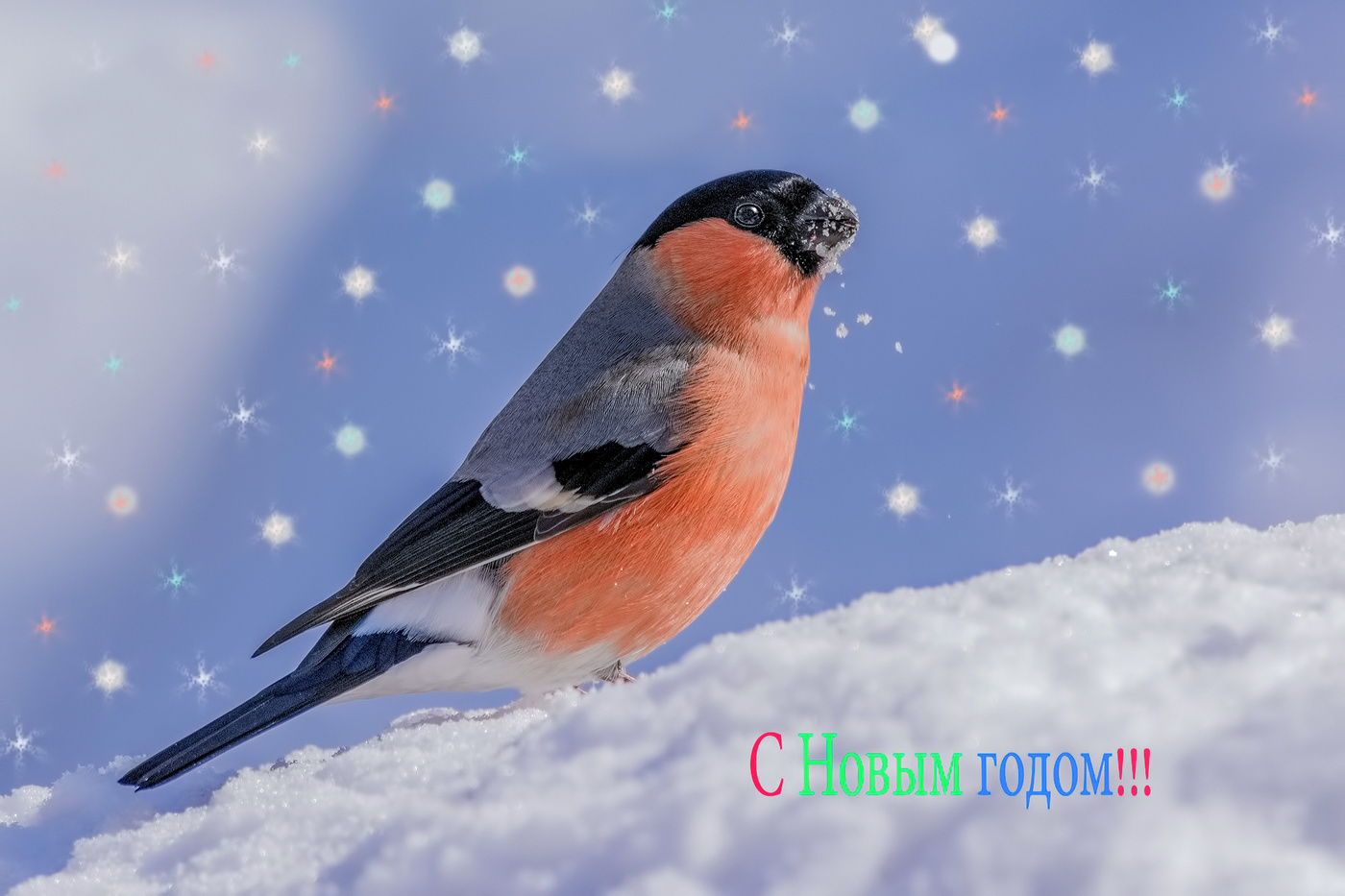 C Новым годом!