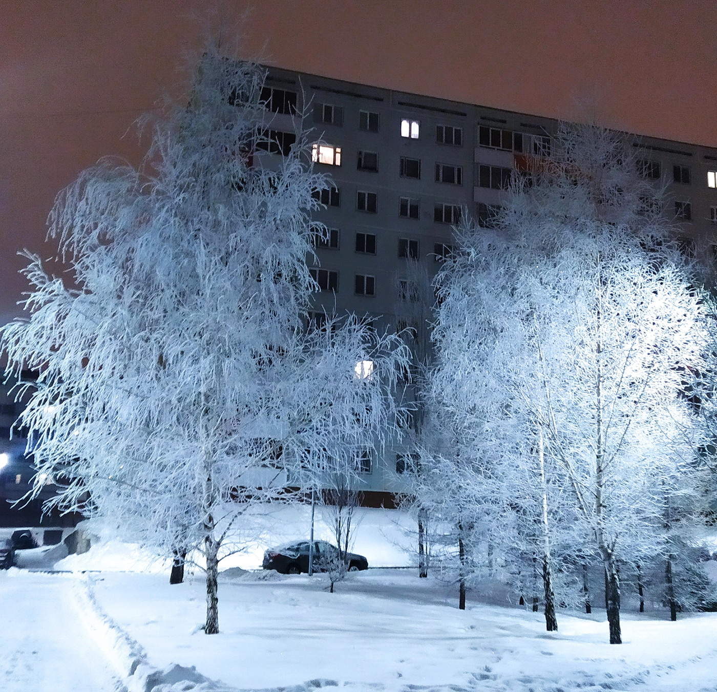 Раннее зимнее утро