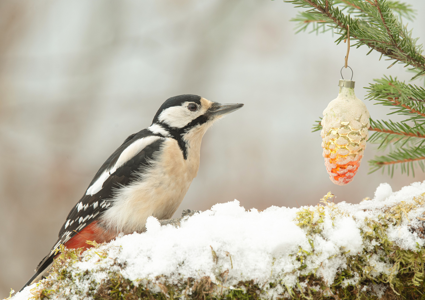 С Наступающим!!!