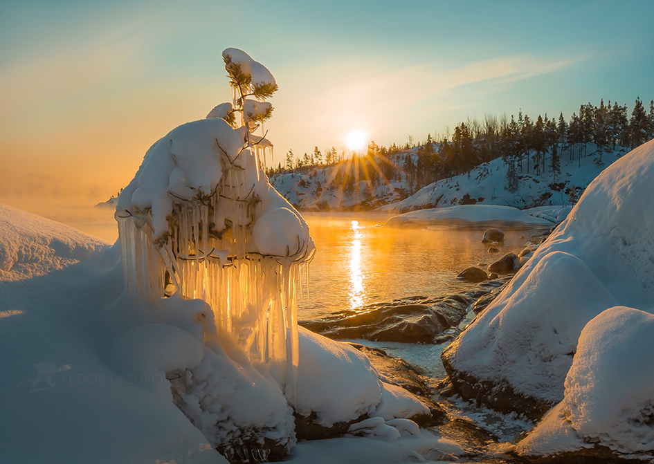 Новогоднее украшение сосны