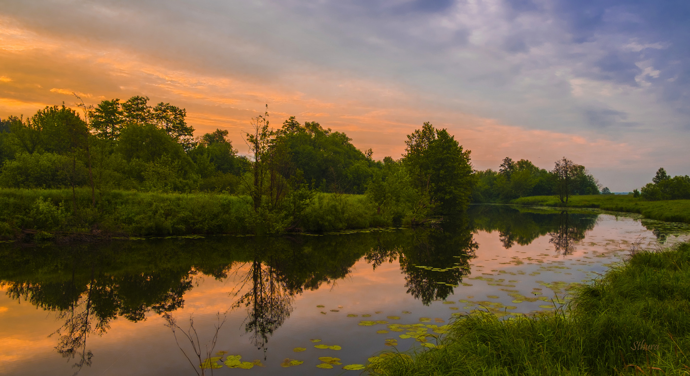 Утро на озере Рожок.