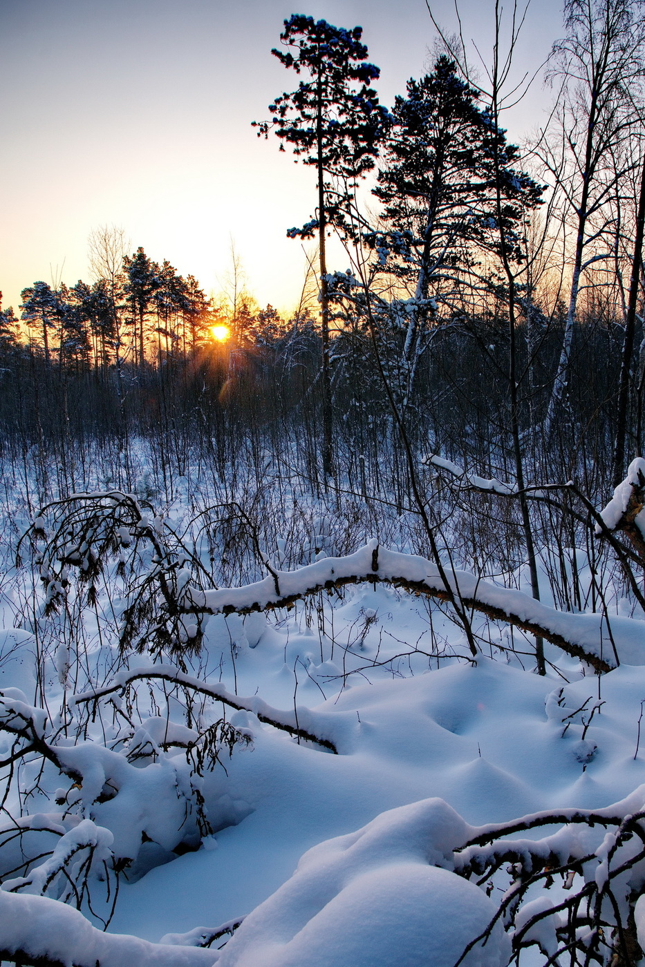 **Январский день.*