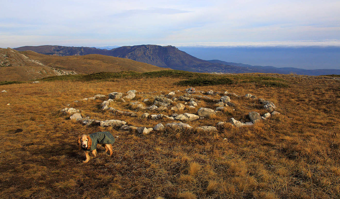 Круги на горе