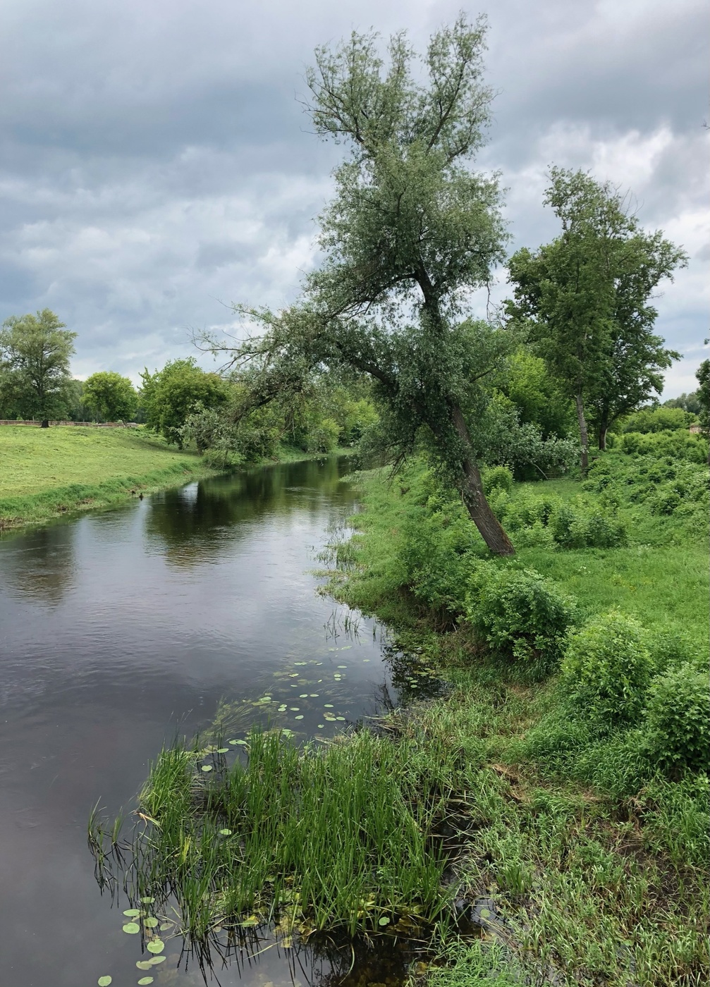 Весна уже скоро!…