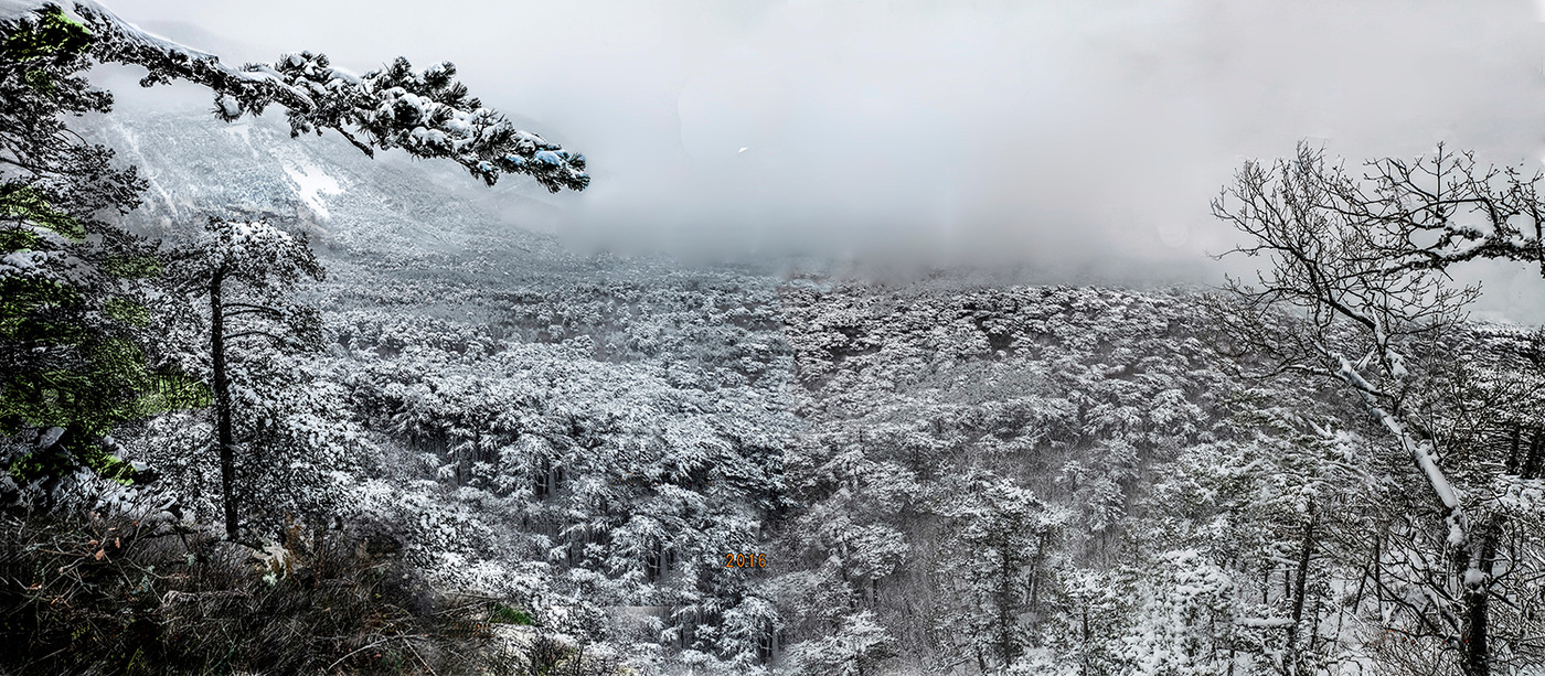 Этюды зимой