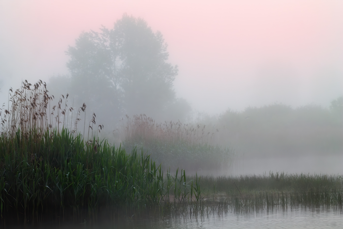Тихий рассвет
