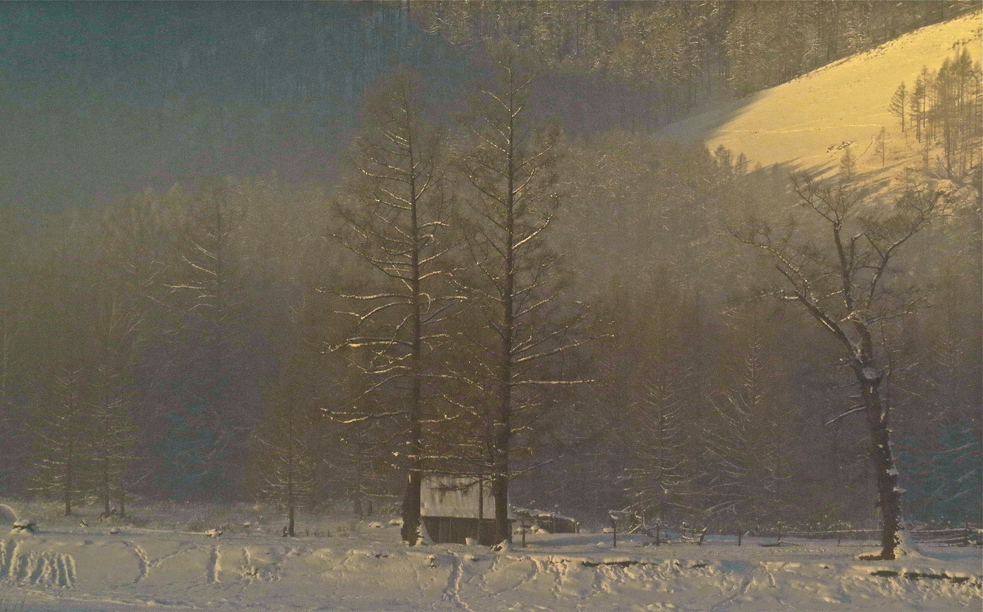 Cолнышко среди зимы!