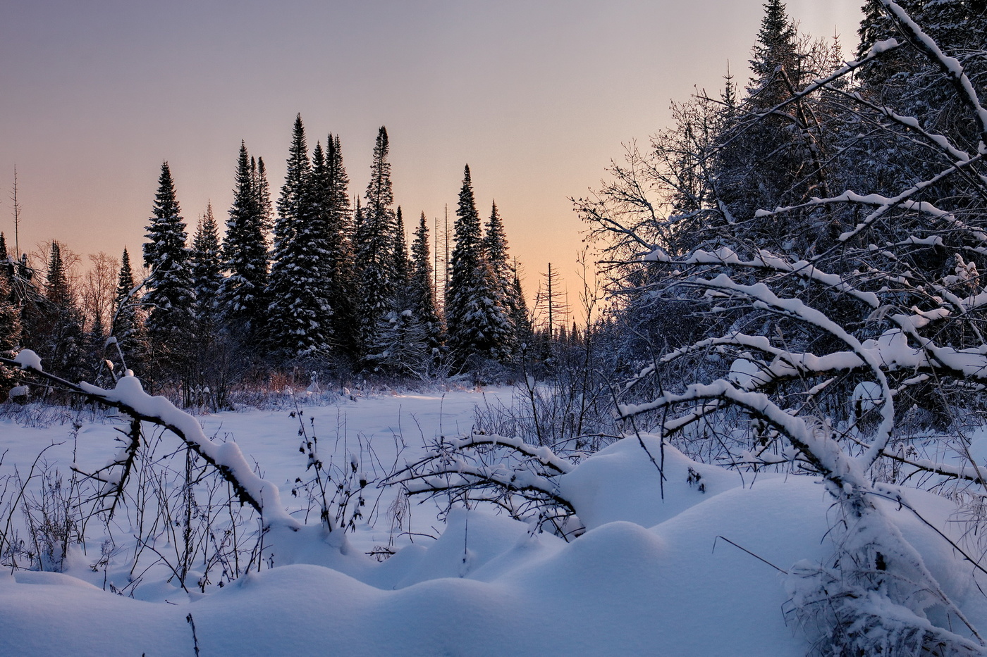 Морозный вечер.