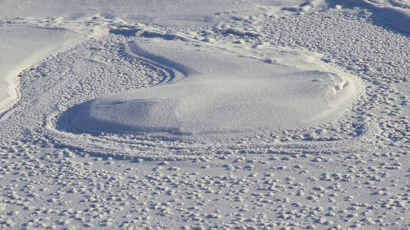 Друзья, мое сердце с вами