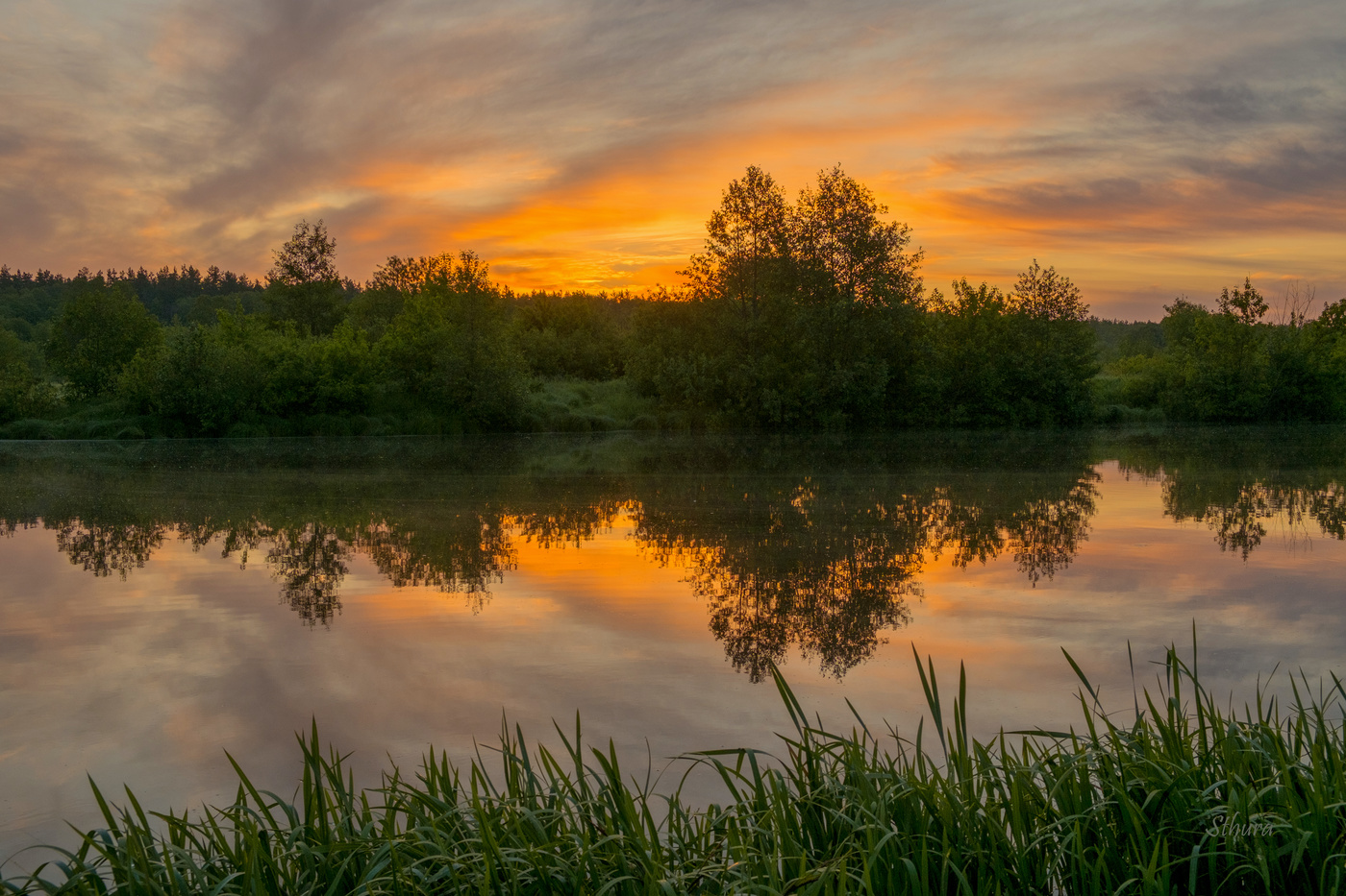 Летнее утро хмурится.