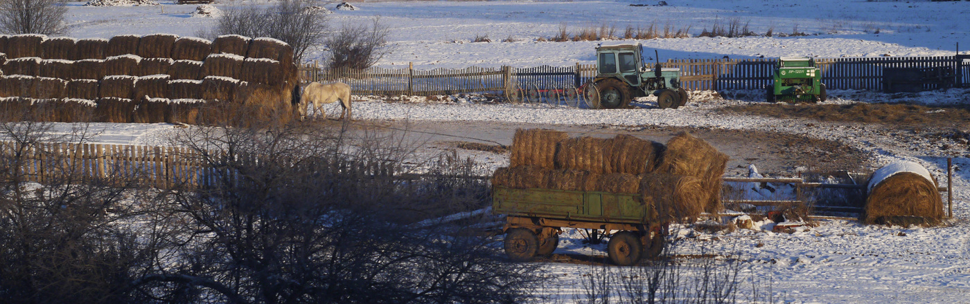 Из окна поезда.