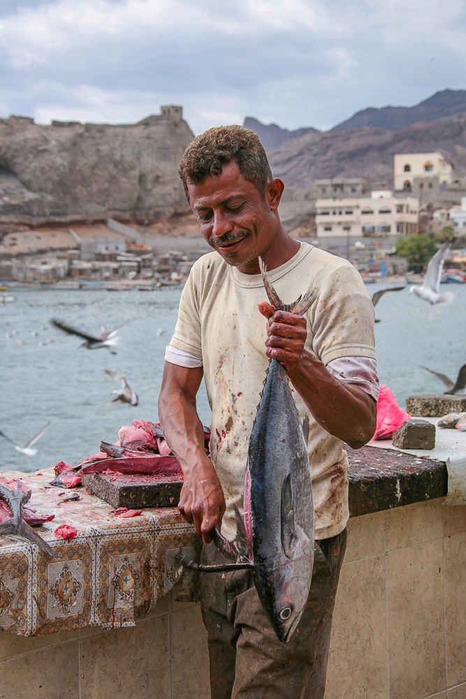 Утренний улов