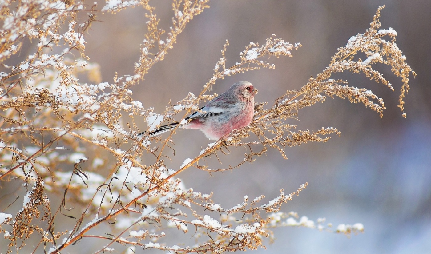 "На встречу солнцу"