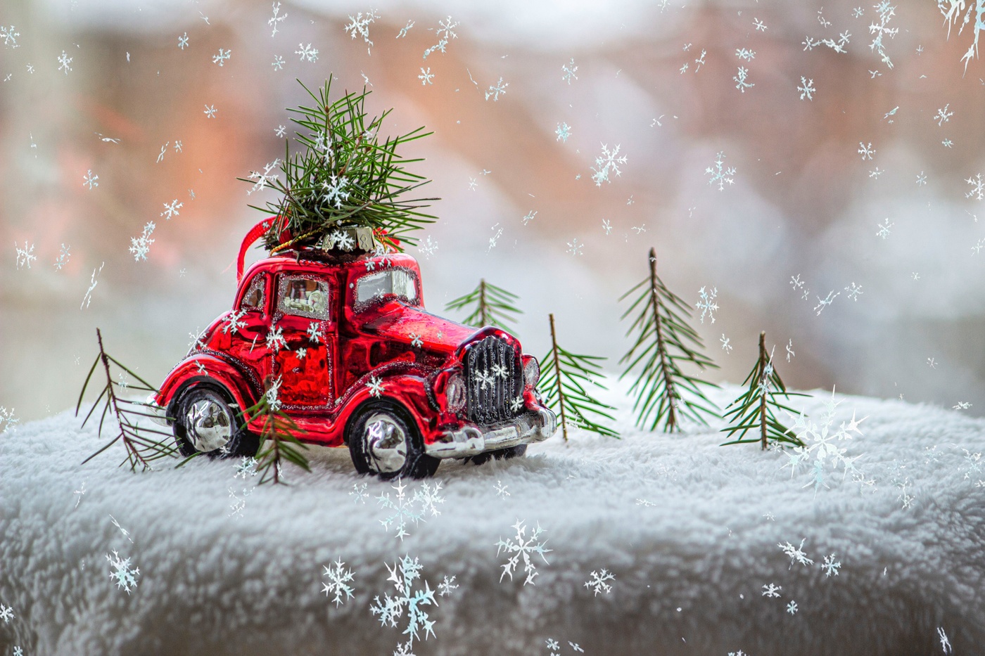 Ёлки зелёные