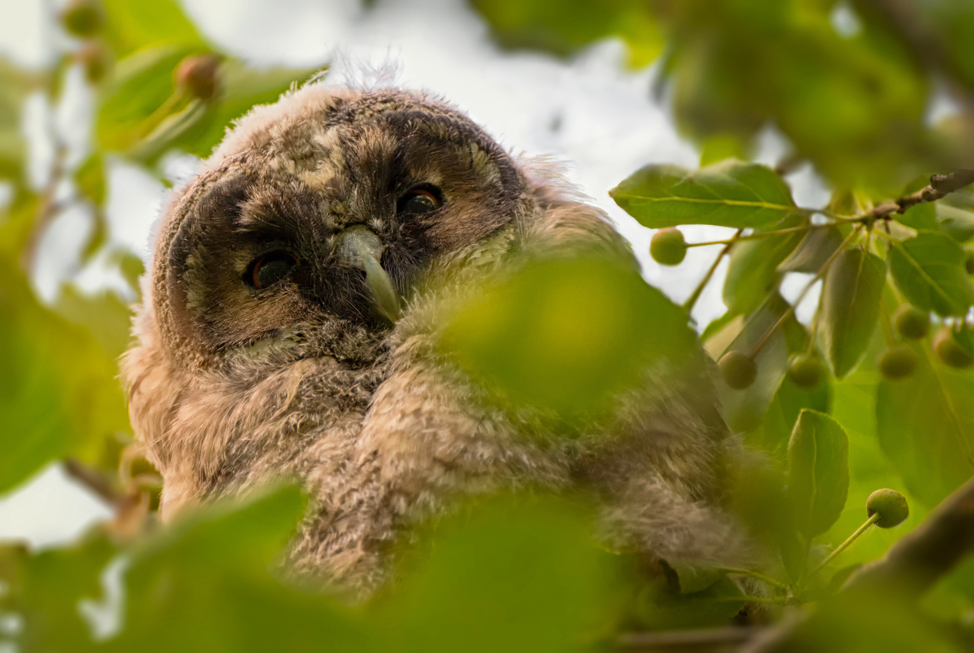 взгляд сверху..