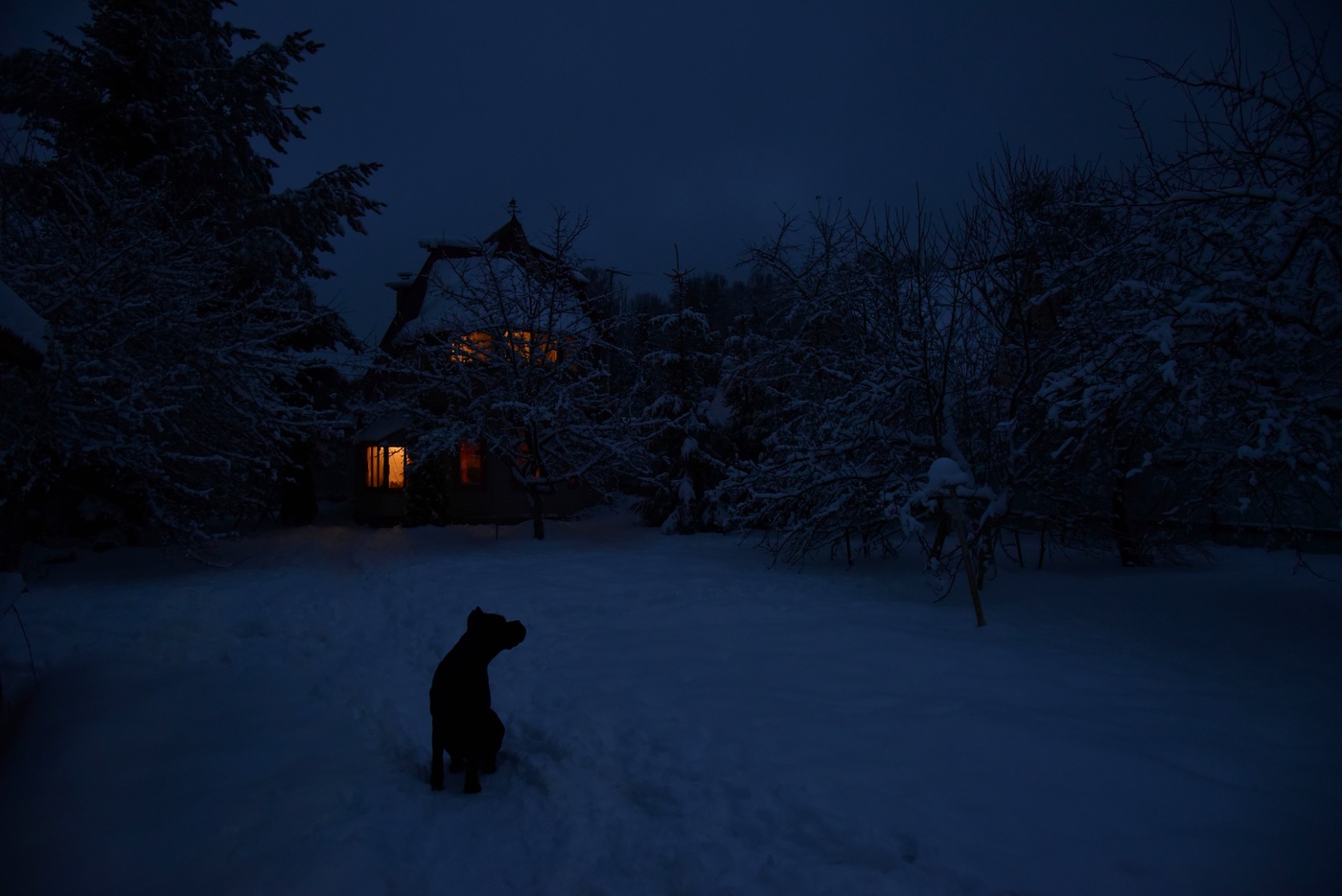 "Ночь темна, на небе тучи, белый снег кругом..."