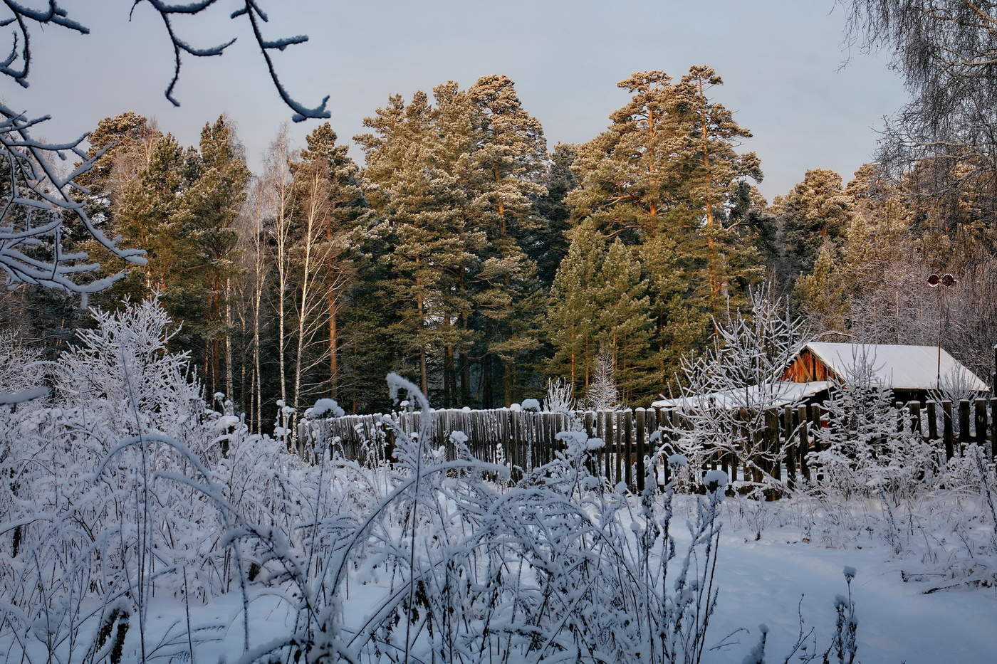 Зимним днём.